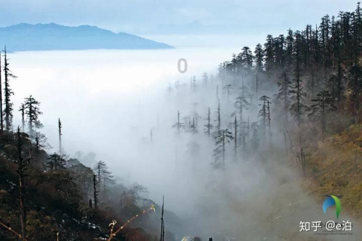 昆明两会·微访谈|滇池旅游度假区：“八大行动”推进滇池沿岸生态优先绿色发展